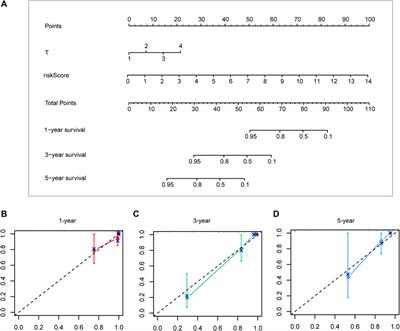 Identification of a chromatin regulator signature and potential prognostic ability for adrenocortical carcinoma